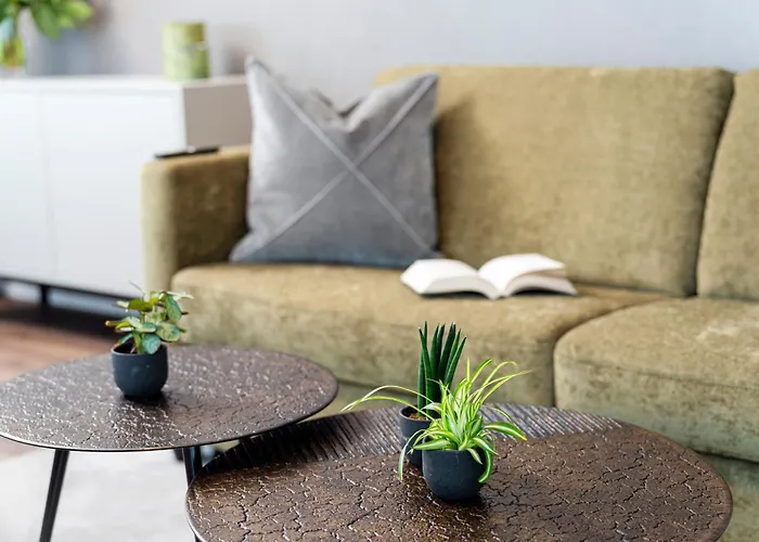 City Stay - Papieri-Ring